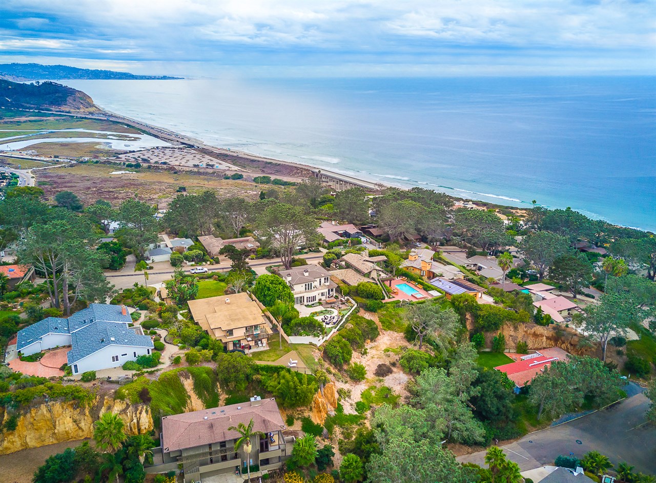 321 Hidden Pines Road Del Mar, CA 92014 - Photo 8 of 8 Magical Views of the Ocean through the wispy trees.