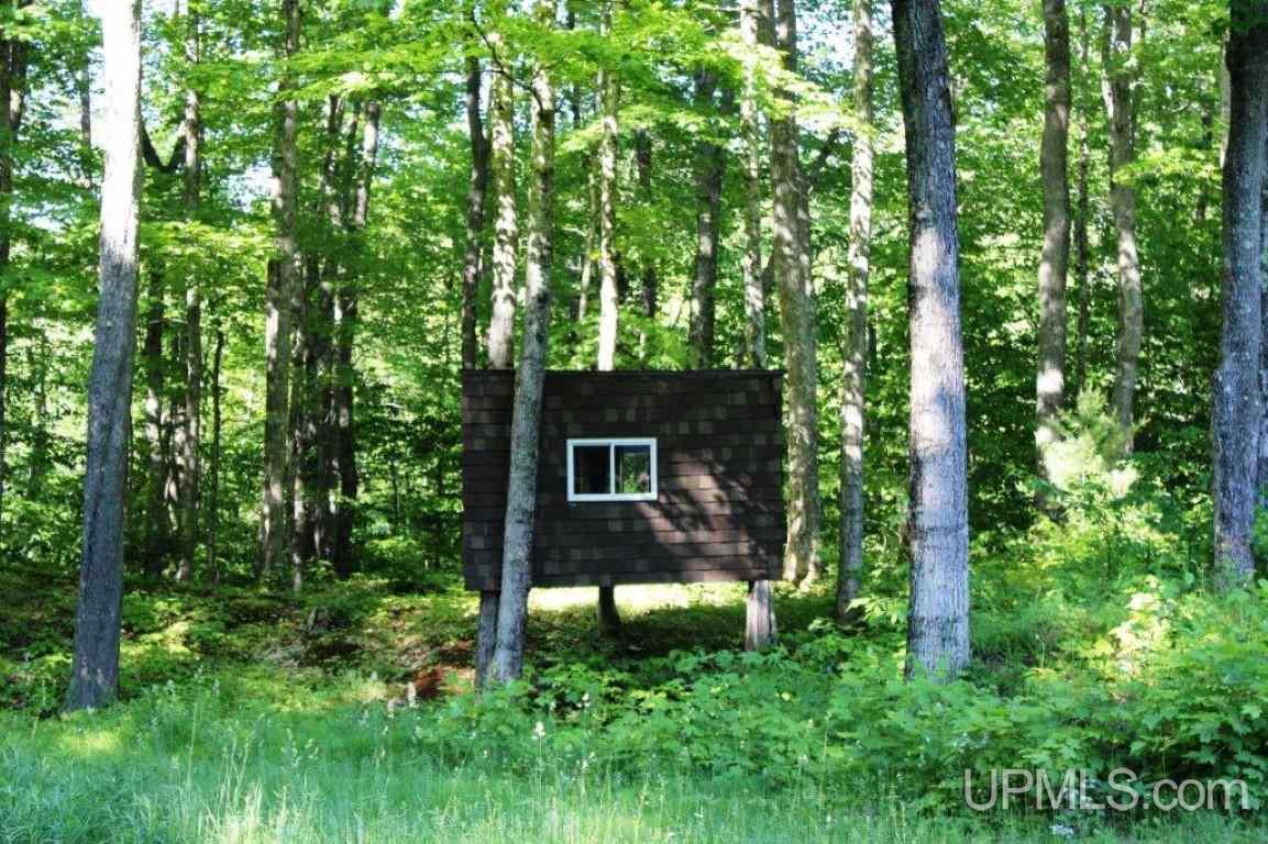 N6995 Connors Road Munising, MI 49862 - Photo 29 of 39