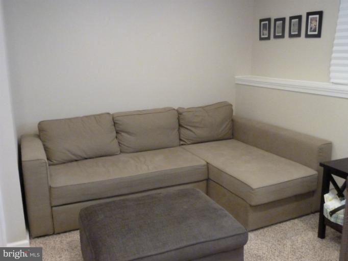1748 Sundance Drive Reston, VA 20194 - Photo 22 of 29 Rec Room lower level