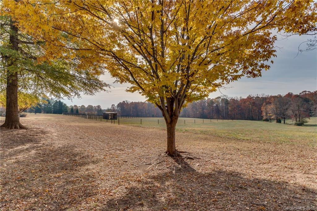 610 Phillips Road Columbus, NC 28722 - Photo 22 of 24 a view of backyard with large trees