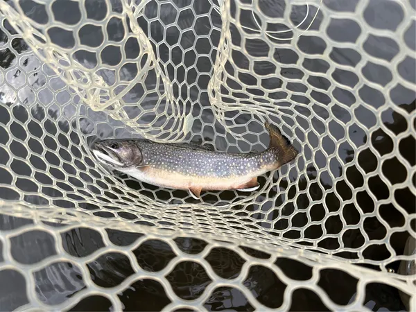 $489,000 | Tbd Tbd Pcr-19, Fairplay, CO 80440