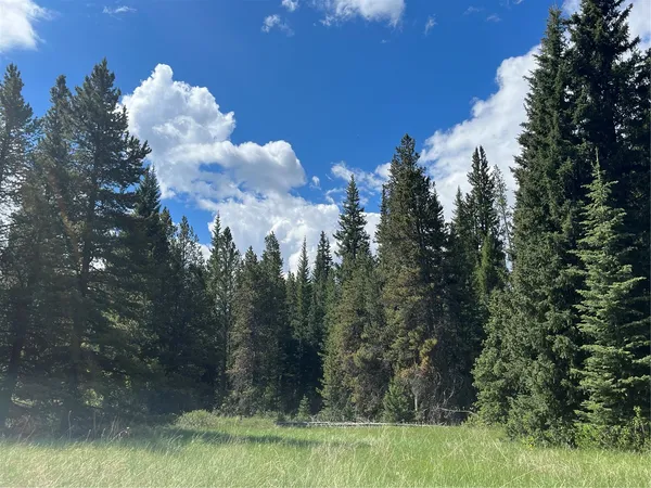 $489,000 | Tbd Tbd Pcr-19, Fairplay, CO 80440