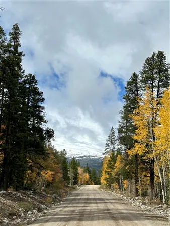 $489,000 | Tbd Tbd Pcr-19, Fairplay, CO 80440