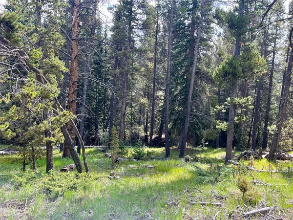 $489,000 | Tbd Tbd Pcr-19, Fairplay, CO 80440