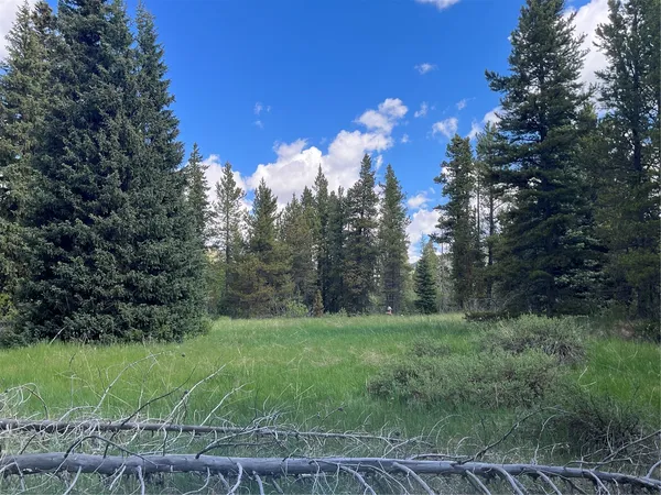 $489,000 | Tbd Tbd Pcr-19, Fairplay, CO 80440