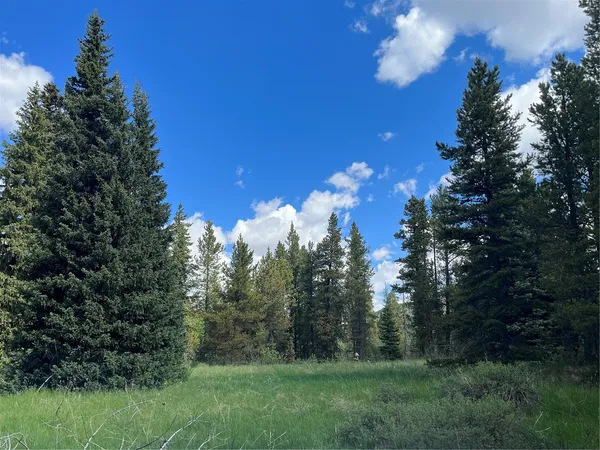 $489,000 | Tbd Tbd Pcr-19, Fairplay, CO 80440