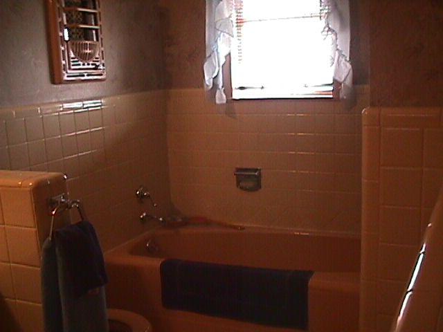 101 Rancho Trail Amarillo, TX 79108 - Photo 7 of 10 Bathroom