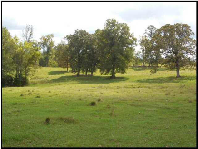 0 Old Pickens Road Sallis, MS 39160 - Photo 1 of 12 Photo 1