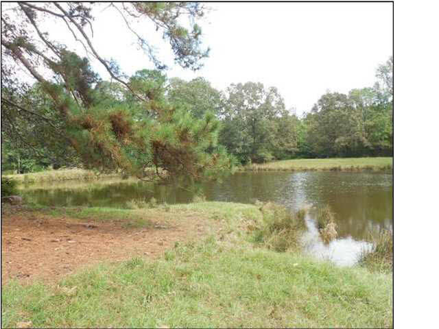 0 Old Pickens Road Sallis, MS 39160 - Photo 11 of 12 Photo 11