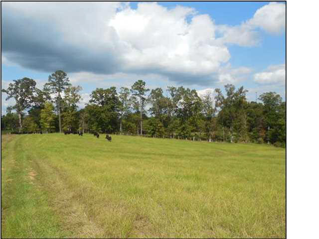 0 Old Pickens Road Sallis, MS 39160 - Photo 12 of 12 Photo 12