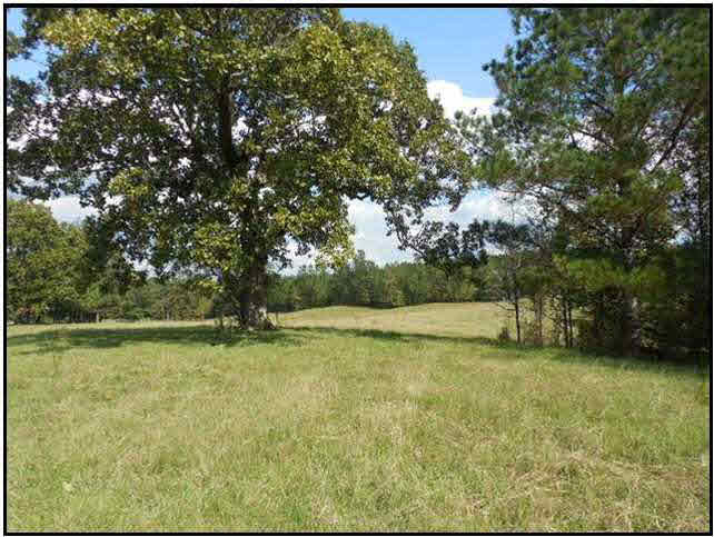 0 Old Pickens Road Sallis, MS 39160 - Photo 2 of 12 Photo 2