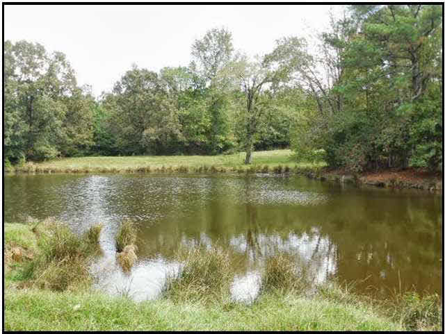 0 Old Pickens Road Sallis, MS 39160 - Photo 3 of 12 Photo 3