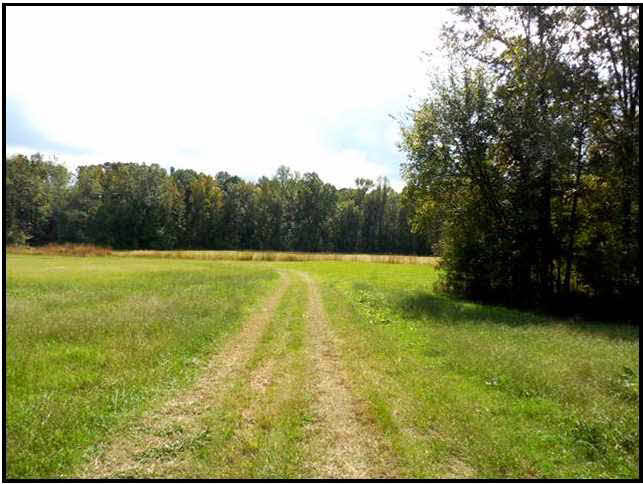 0 Old Pickens Road Sallis, MS 39160 - Photo 4 of 12 Photo 4