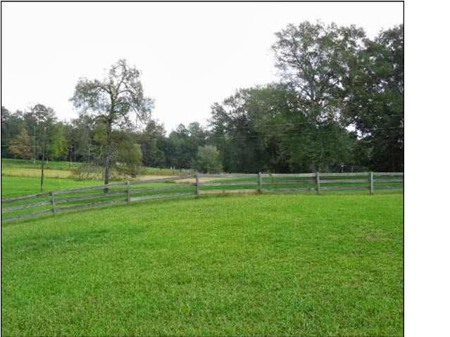 0 Old Pickens Road Sallis, MS 39160 - Photo 5 of 12 Photo 5
