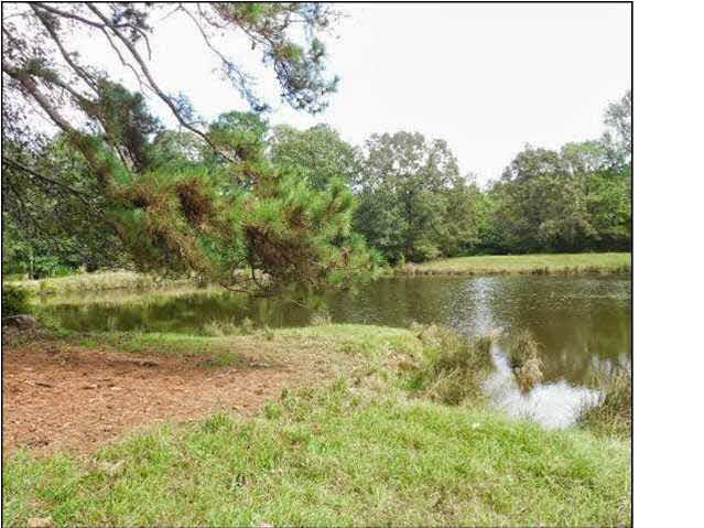 0 Old Pickens Road Sallis, MS 39160 - Photo 6 of 12 Photo 6