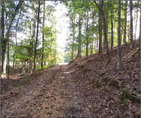 0 Old Pickens Road Sallis, MS 39160 - Photo 7 of 12 Photo 7