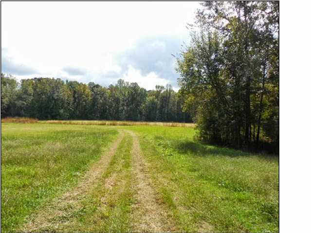 0 Old Pickens Road Sallis, MS 39160 - Photo 8 of 12 Photo 8
