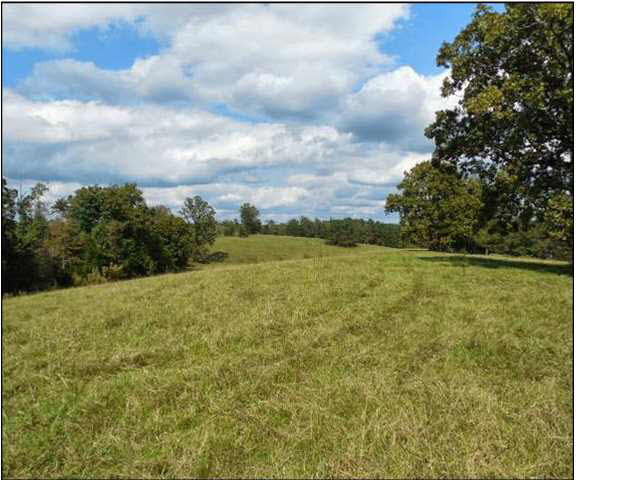 0 Old Pickens Road Sallis, MS 39160 - Photo 9 of 12 Photo 9