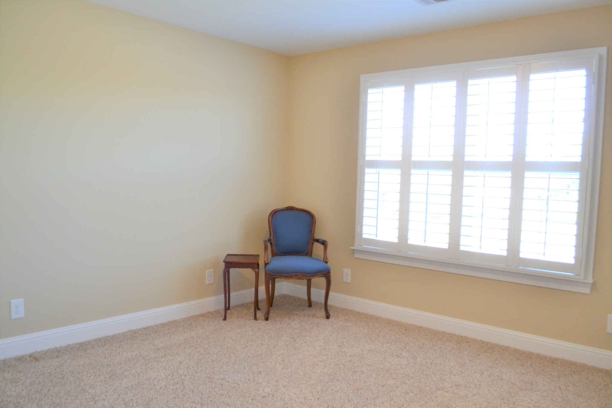 131 Springfield Drive Lebanon, TN 37087 - Photo 21 of 22 Gallery Image 21