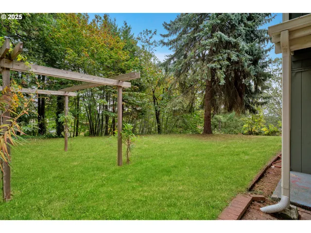 a view of backyard of house