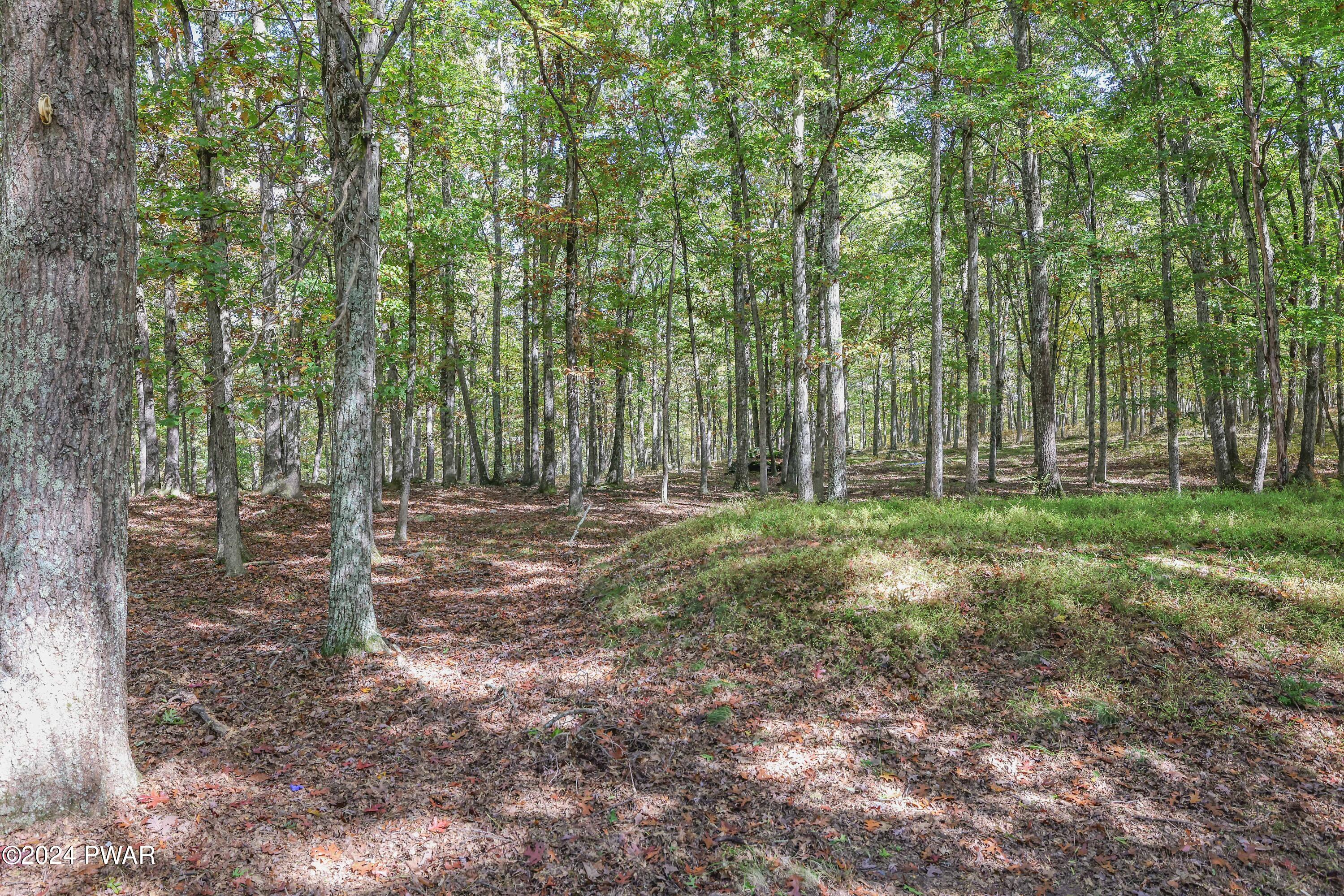 90 Deer Run Road Hawley, PA 18428 - Photo 21 of 31 Property