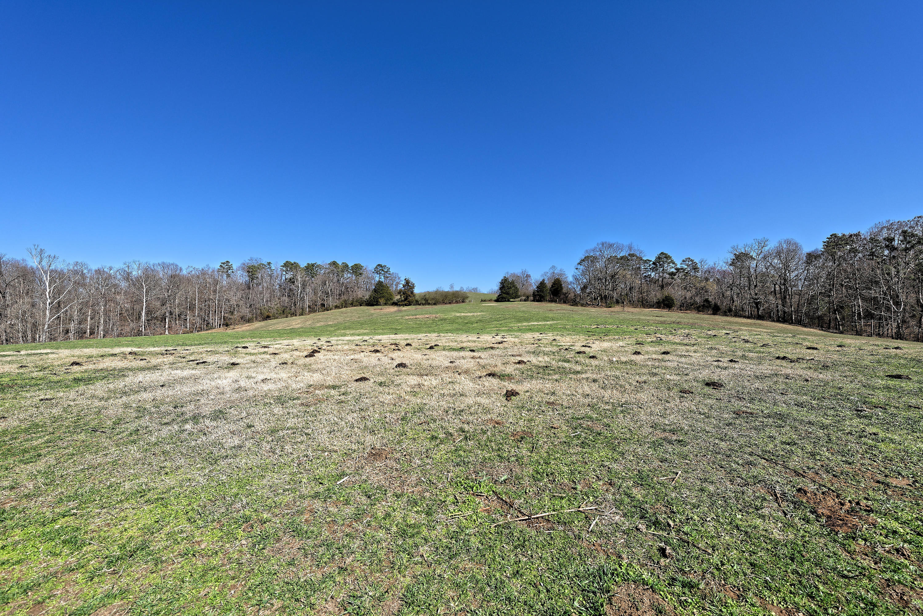 D810_3110_D - Copy