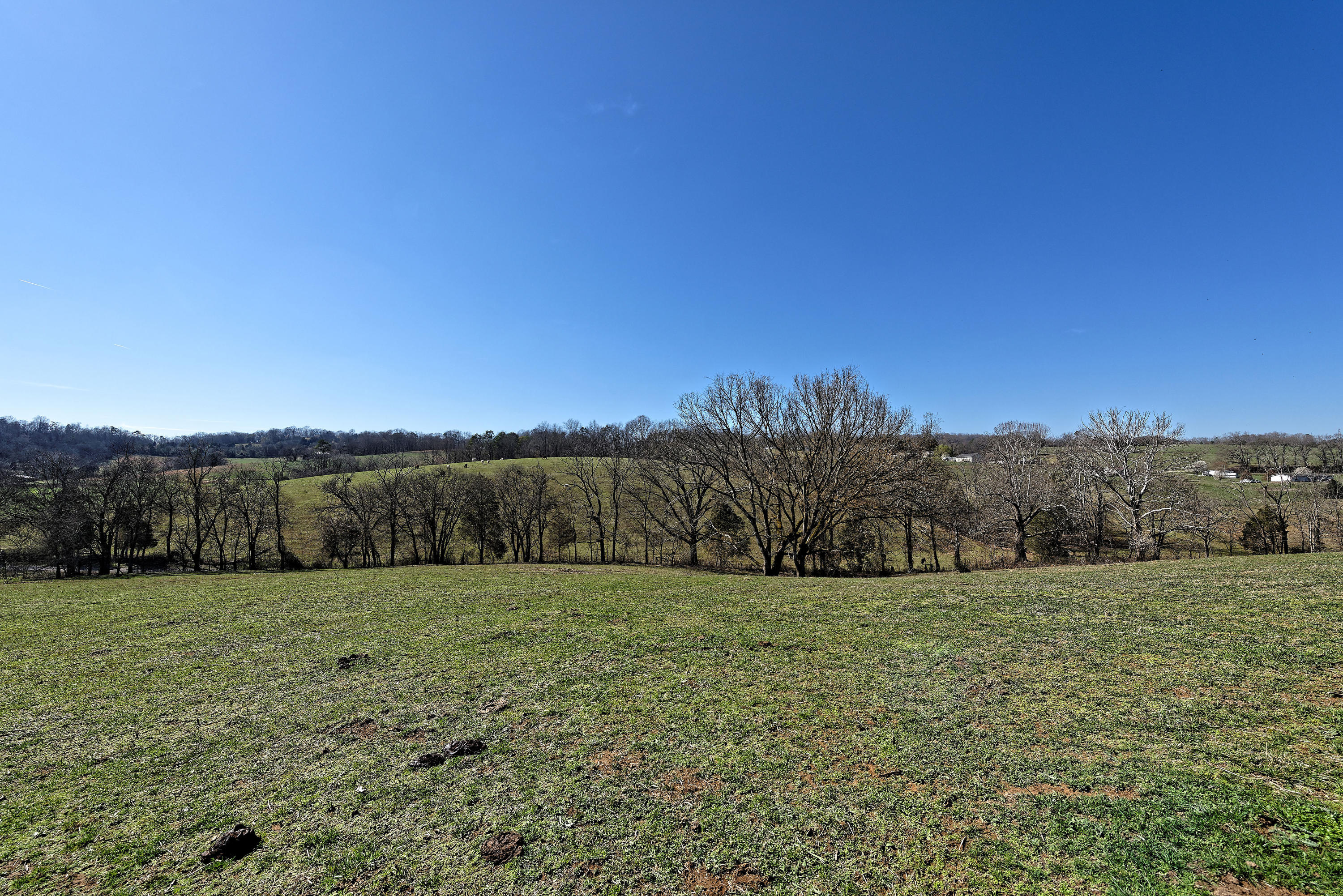 147 Frank Bend Lane Rutledge, TN 37861 - Photo 11 of 40 D810_3121_D