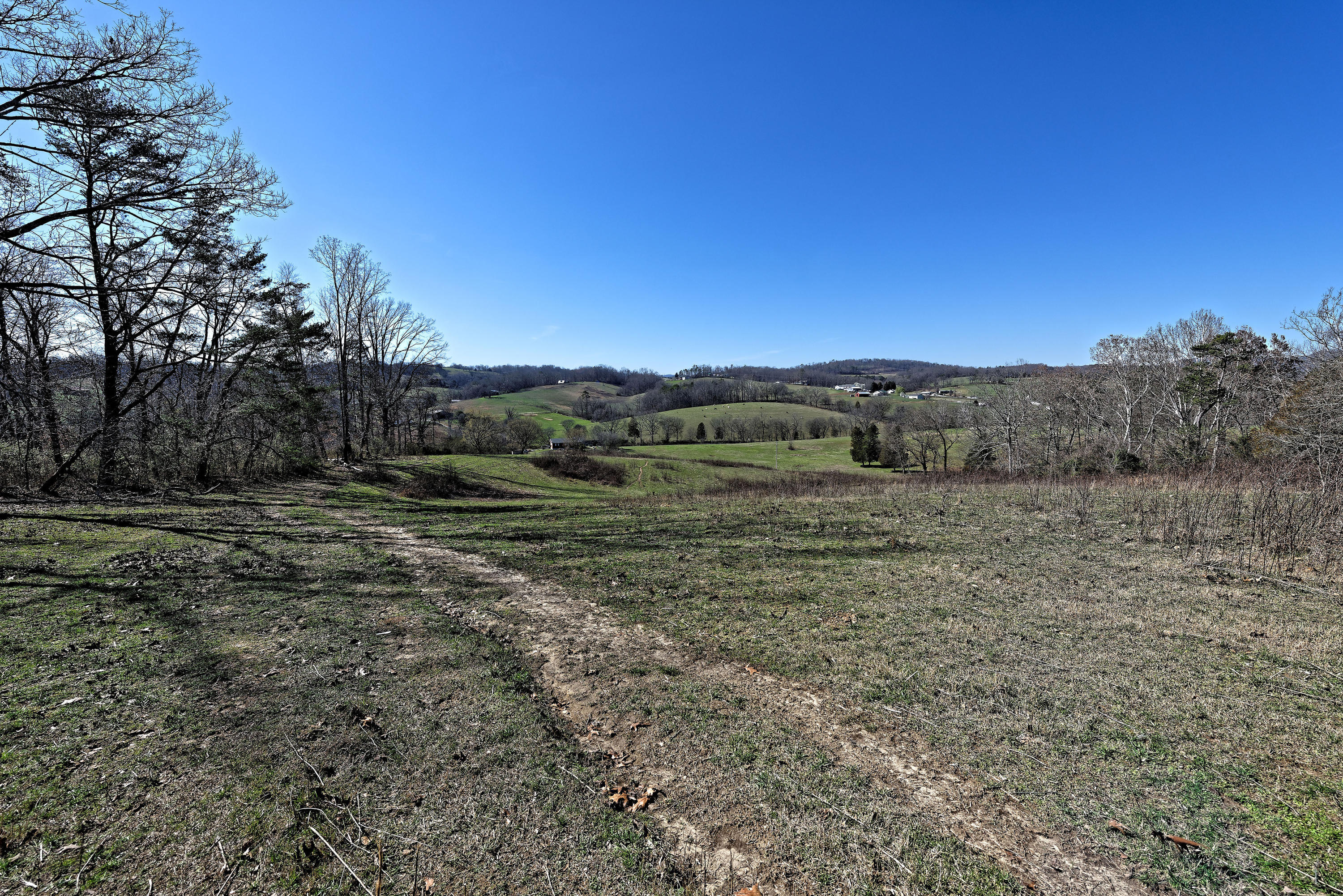 147 Frank Bend Lane Rutledge, TN 37861 - Photo 12 of 40 D810_3122_D