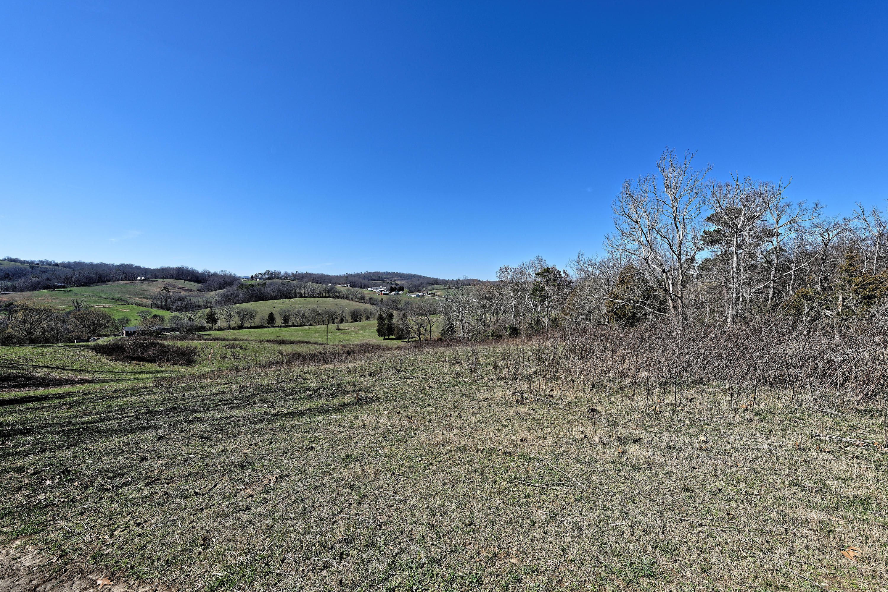 147 Frank Bend Lane Rutledge, TN 37861 - Photo 13 of 40 D810_3123_D