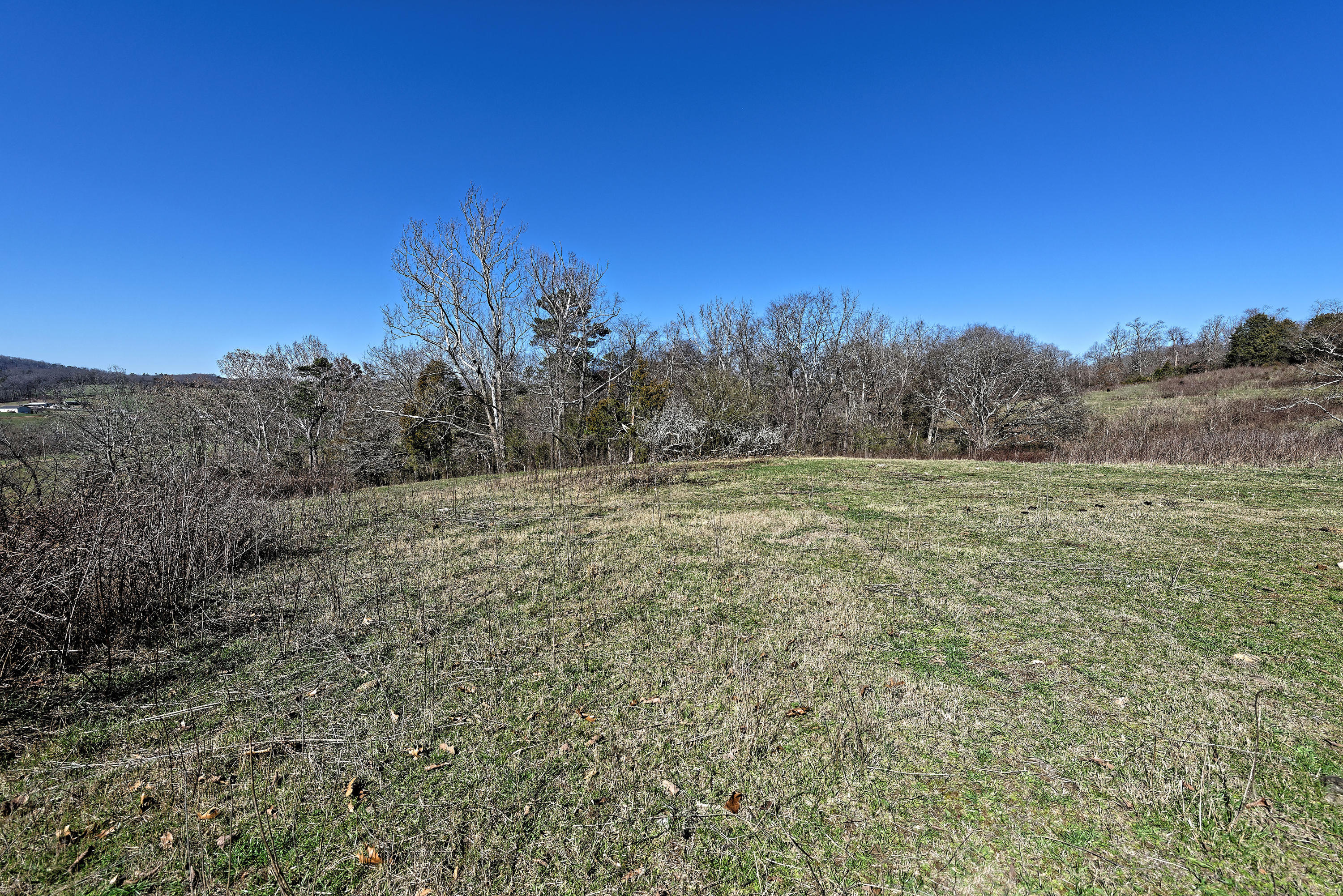 147 Frank Bend Lane Rutledge, TN 37861 - Photo 14 of 40 D810_3124_D