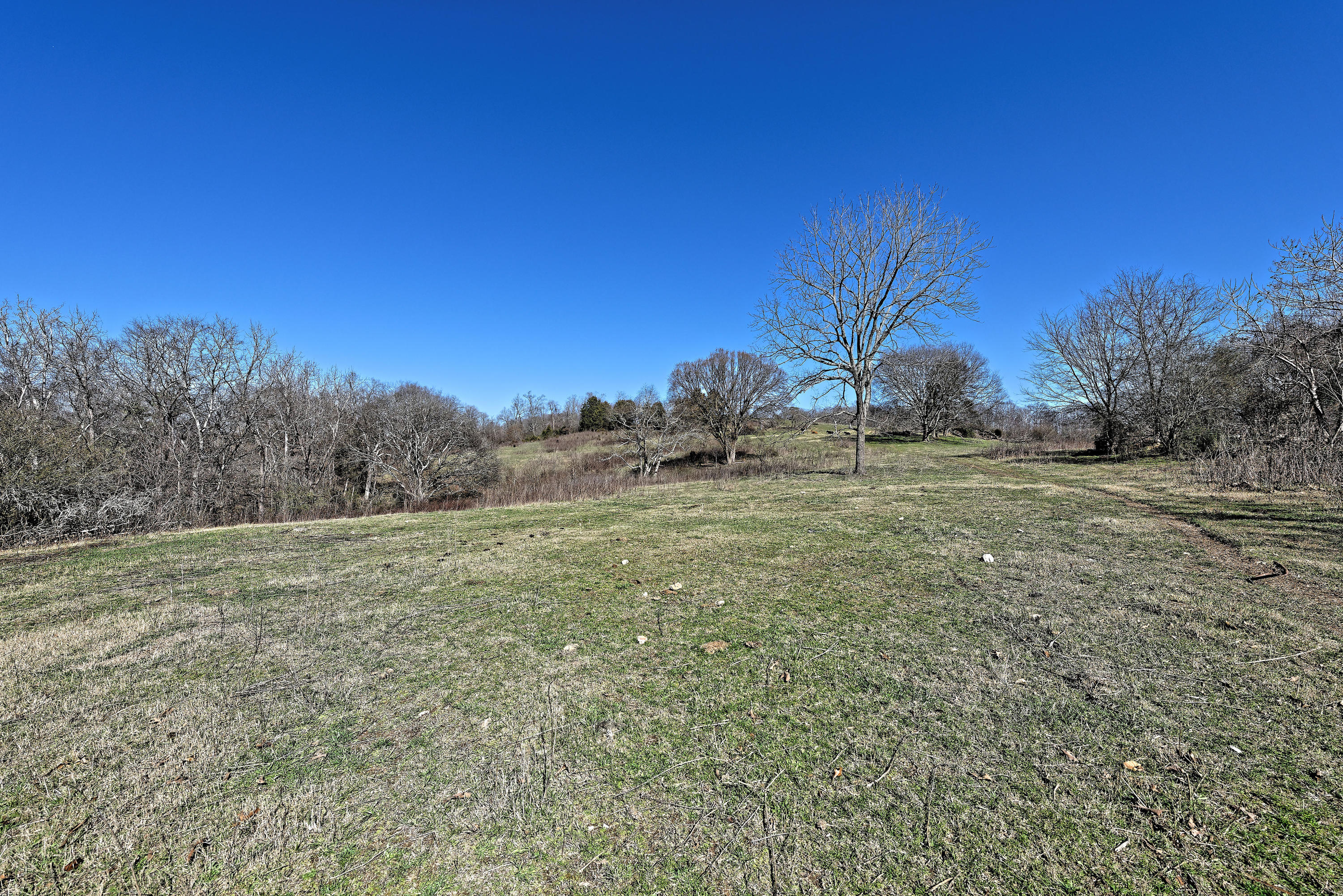147 Frank Bend Lane Rutledge, TN 37861 - Photo 15 of 40 D810_3125_D