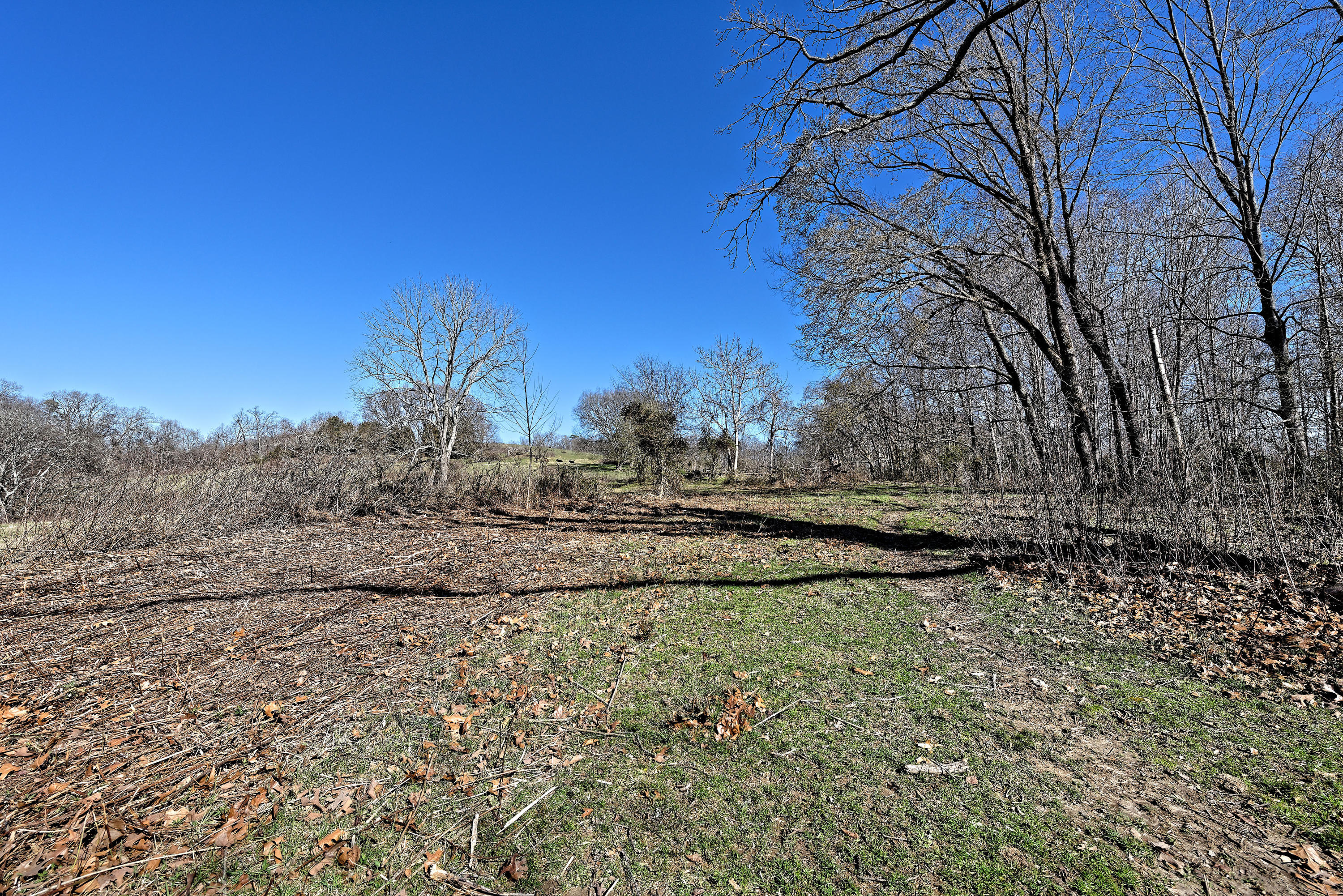 147 Frank Bend Lane Rutledge, TN 37861 - Photo 16 of 40 D810_3127_D