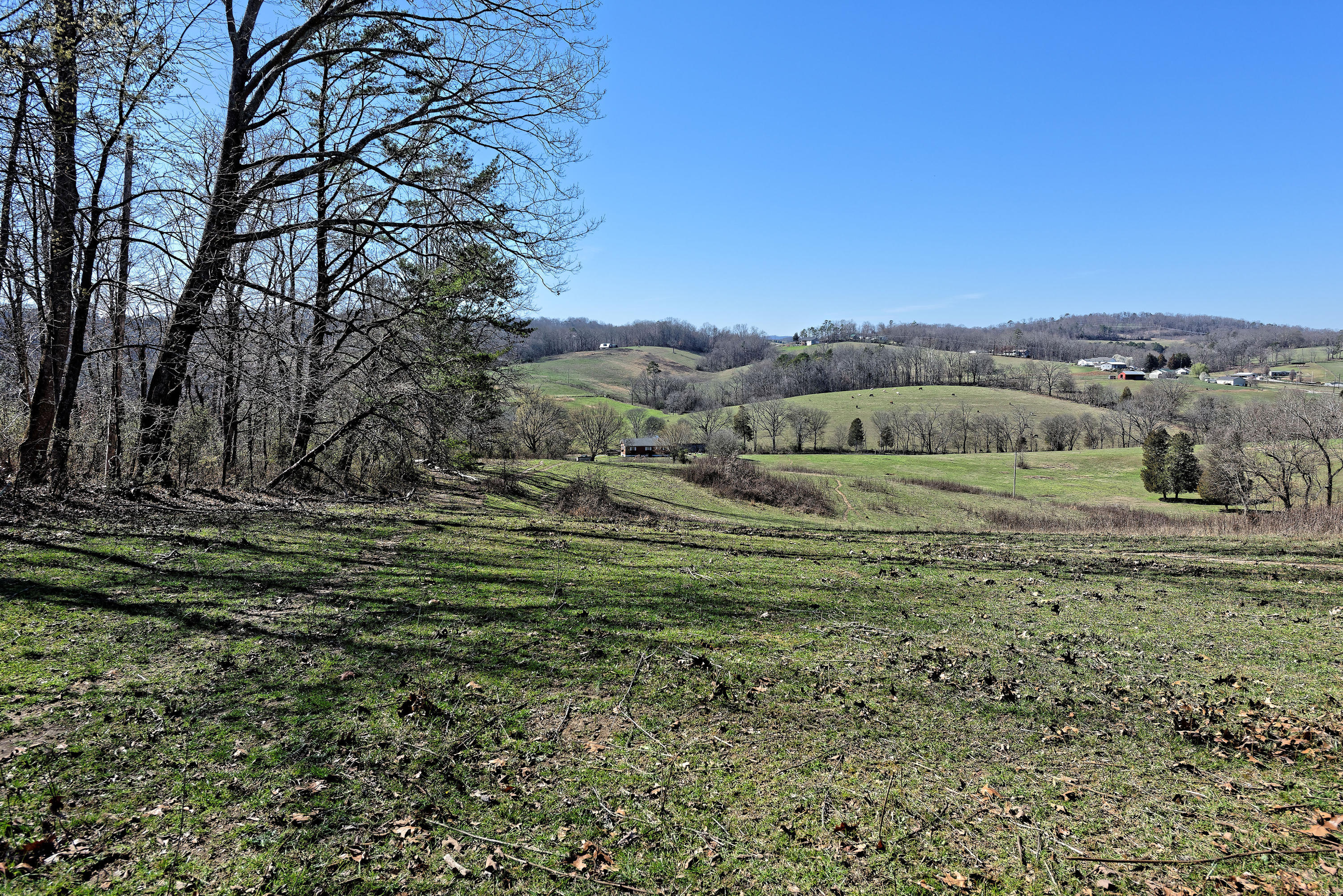 147 Frank Bend Lane Rutledge, TN 37861 - Photo 17 of 40 D810_3128_D