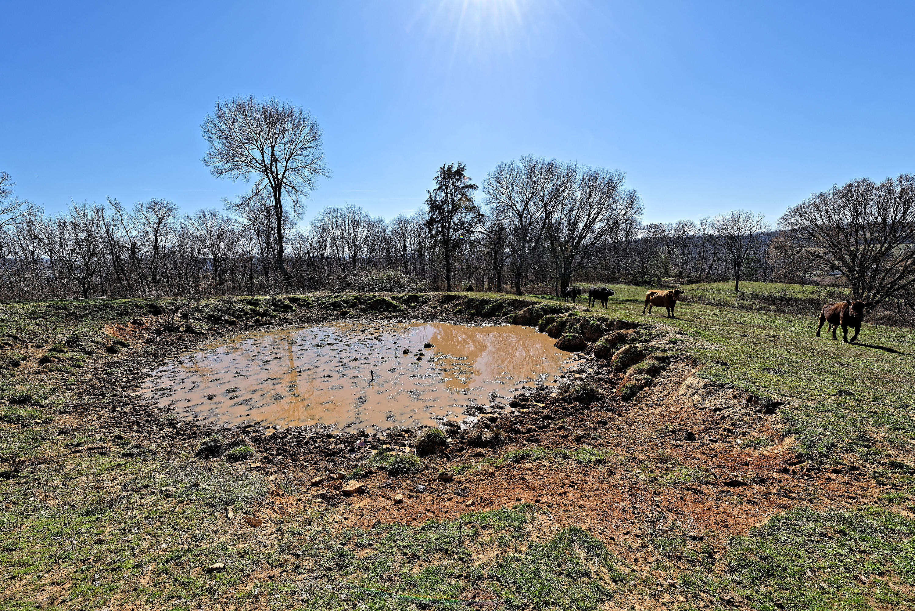 147 Frank Bend Lane Rutledge, TN 37861 - Photo 19 of 40 D810_3132_D