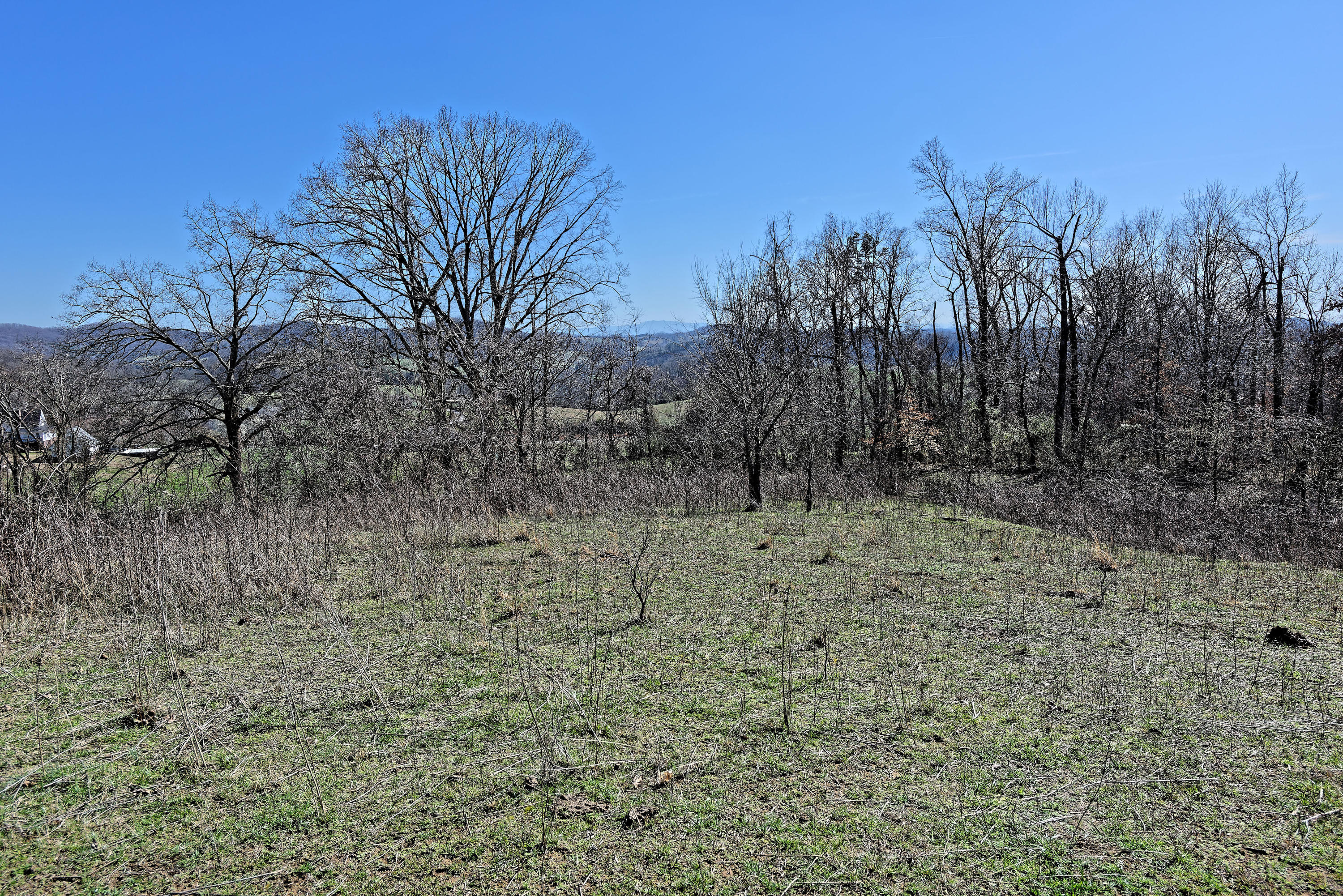 147 Frank Bend Lane Rutledge, TN 37861 - Photo 20 of 40 D810_3133_D