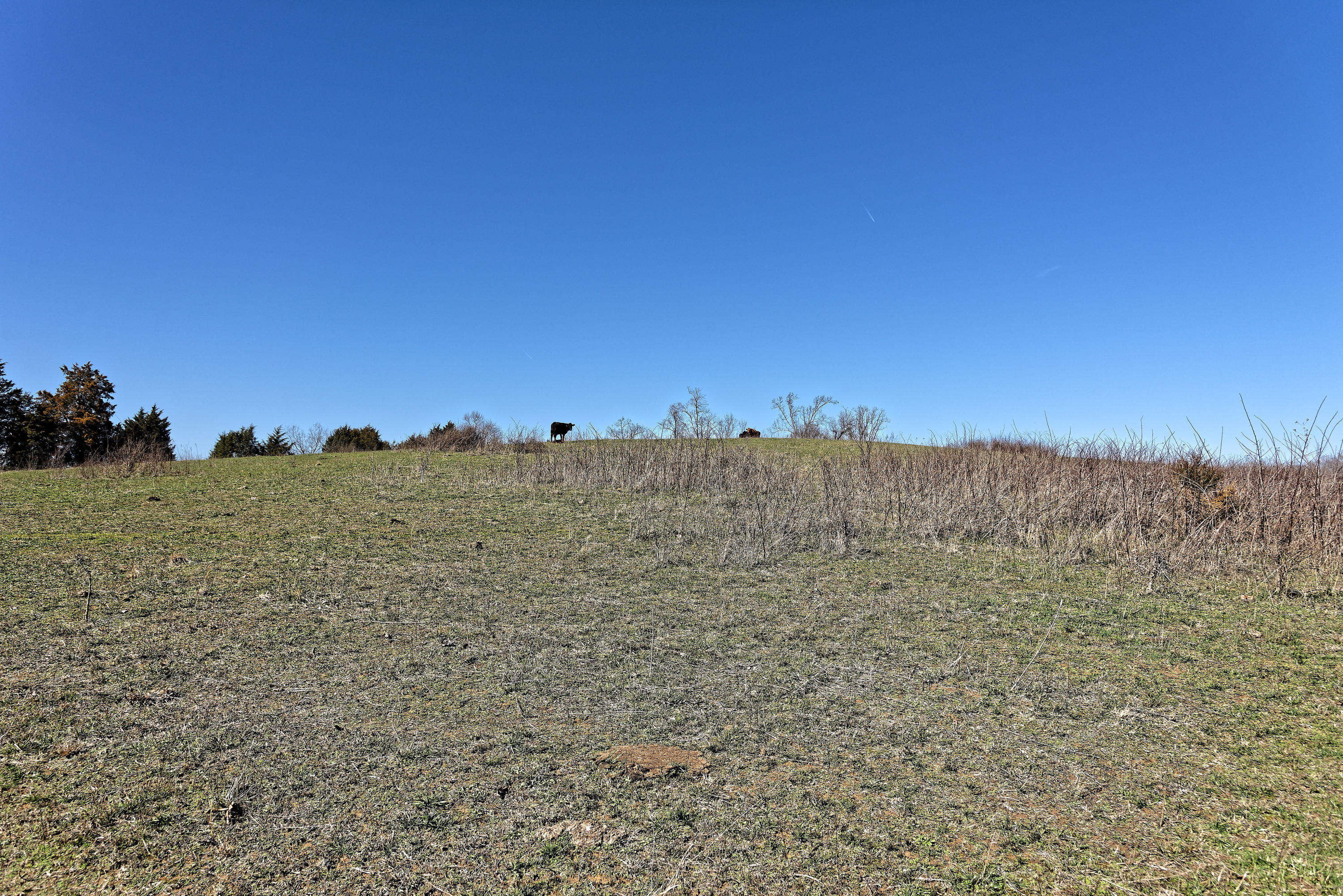 147 Frank Bend Lane Rutledge, TN 37861 - Photo 22 of 40 D810_3136_D