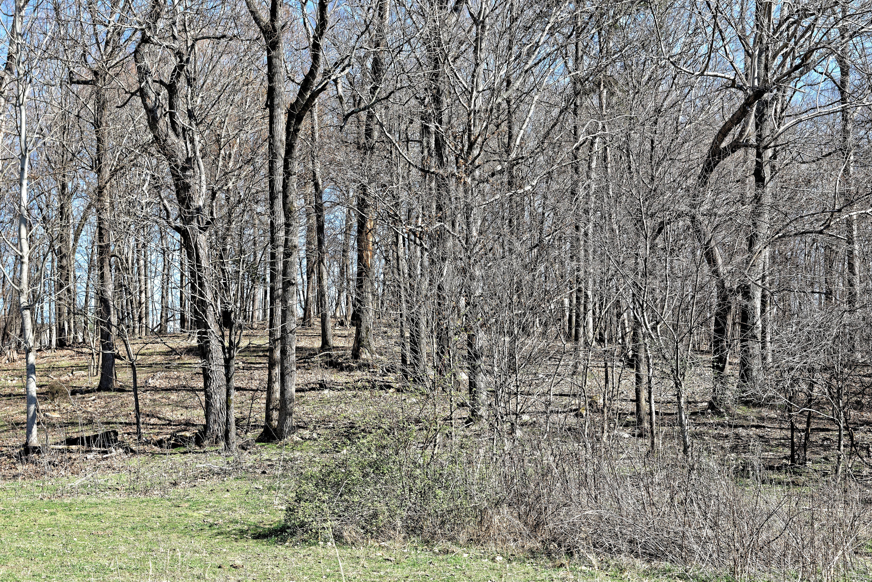 147 Frank Bend Lane Rutledge, TN 37861 - Photo 23 of 40 D810_3137_D