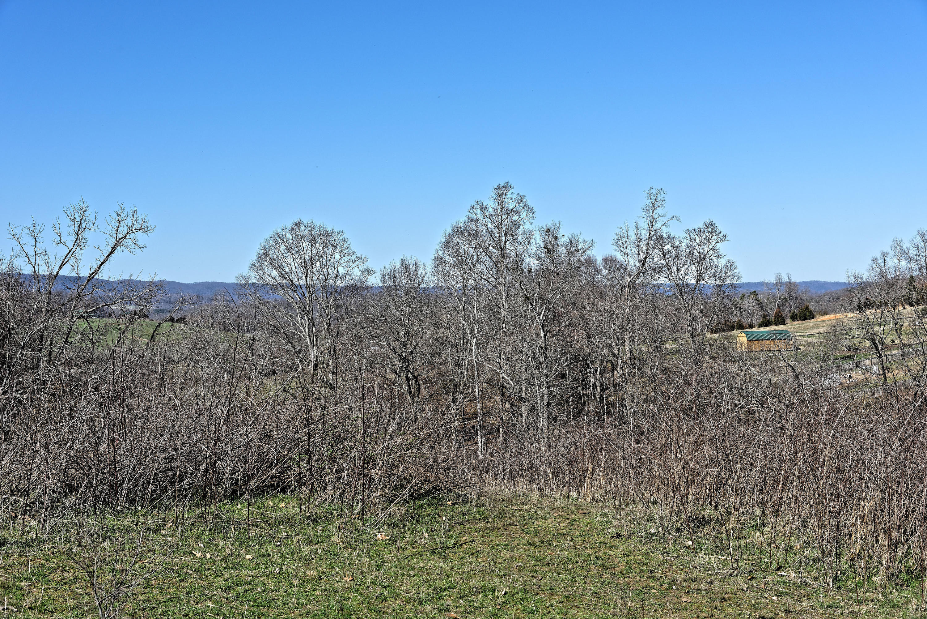 147 Frank Bend Lane Rutledge, TN 37861 - Photo 24 of 40 D810_3138_D