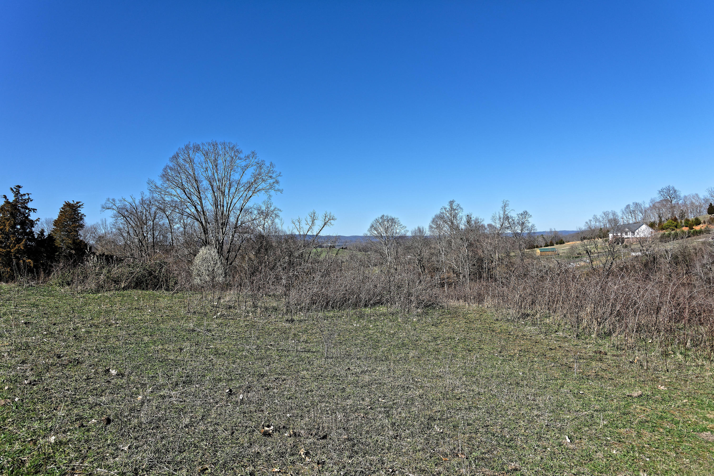 147 Frank Bend Lane Rutledge, TN 37861 - Photo 25 of 40 D810_3139_D