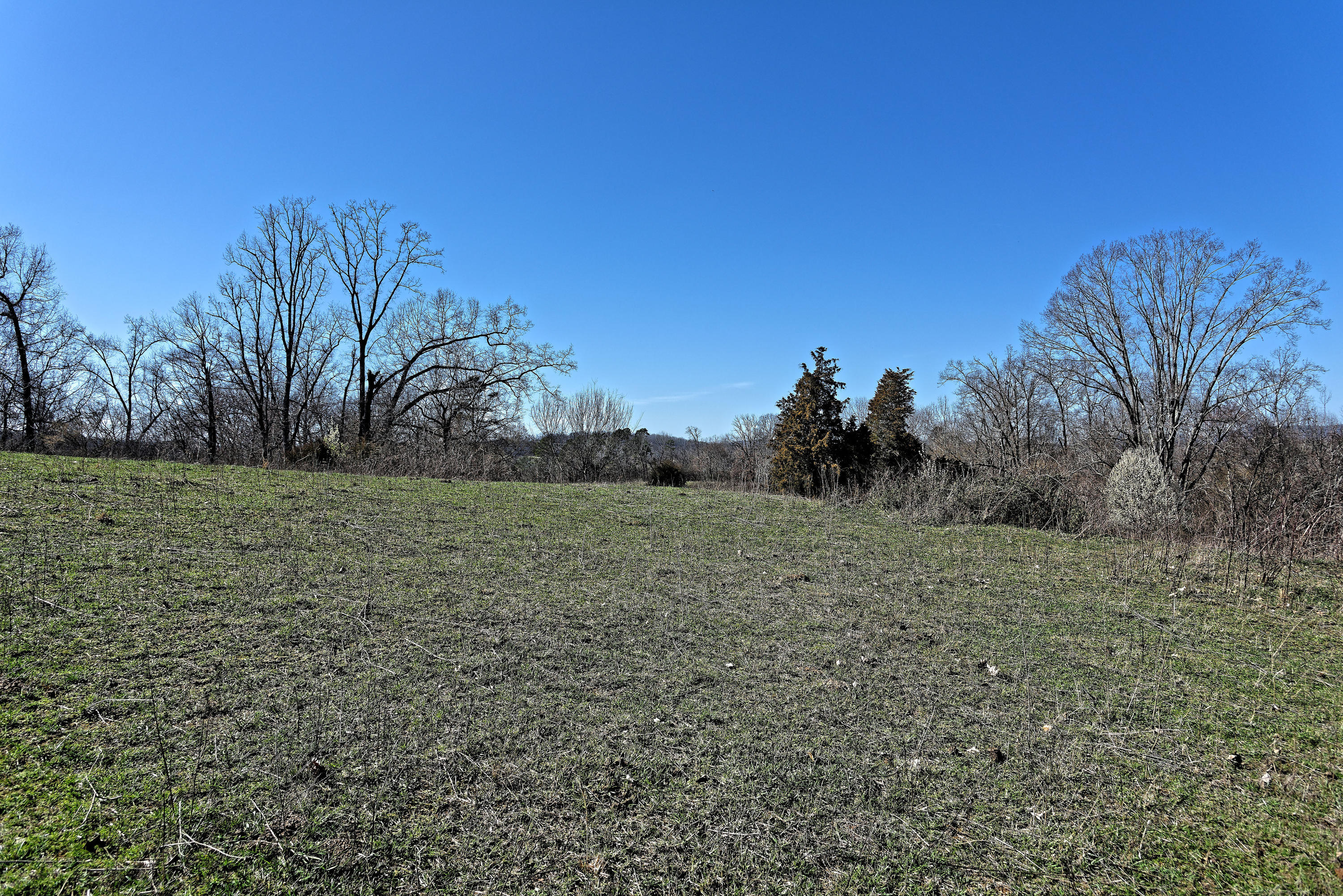 147 Frank Bend Lane Rutledge, TN 37861 - Photo 26 of 40 D810_3140_D