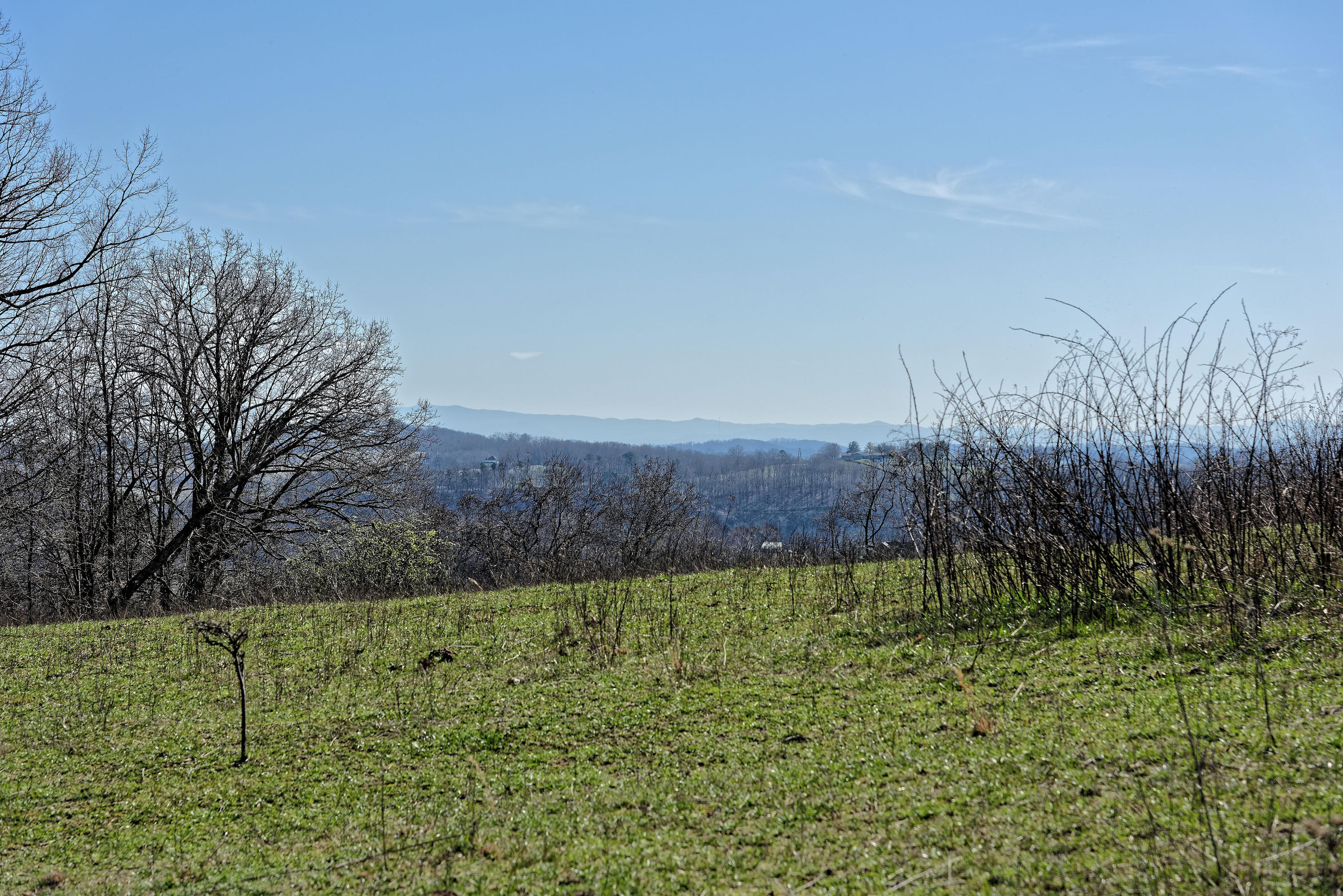 147 Frank Bend Lane Rutledge, TN 37861 - Photo 27 of 40 D810_3141_D
