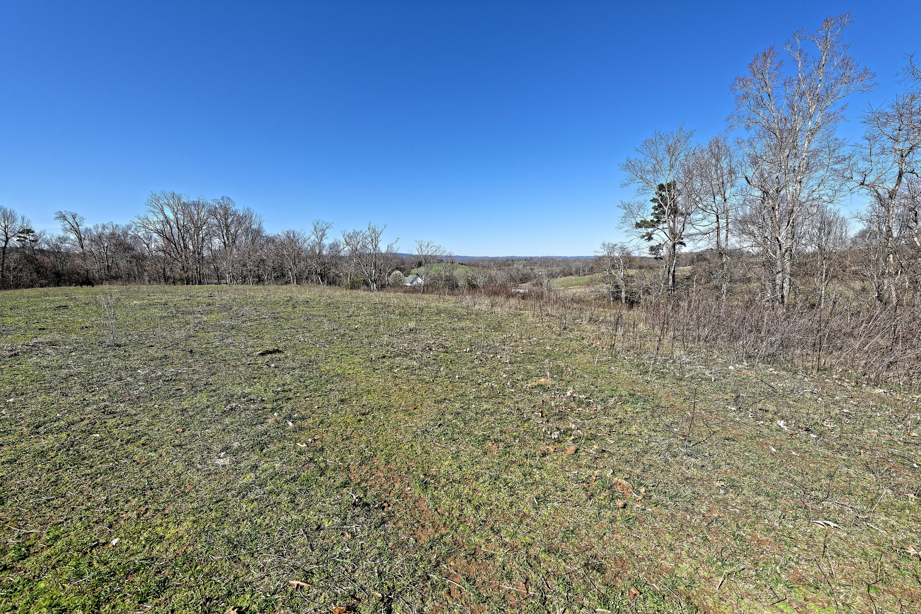 147 Frank Bend Lane Rutledge, TN 37861 - Photo 28 of 40 D810_3142_D