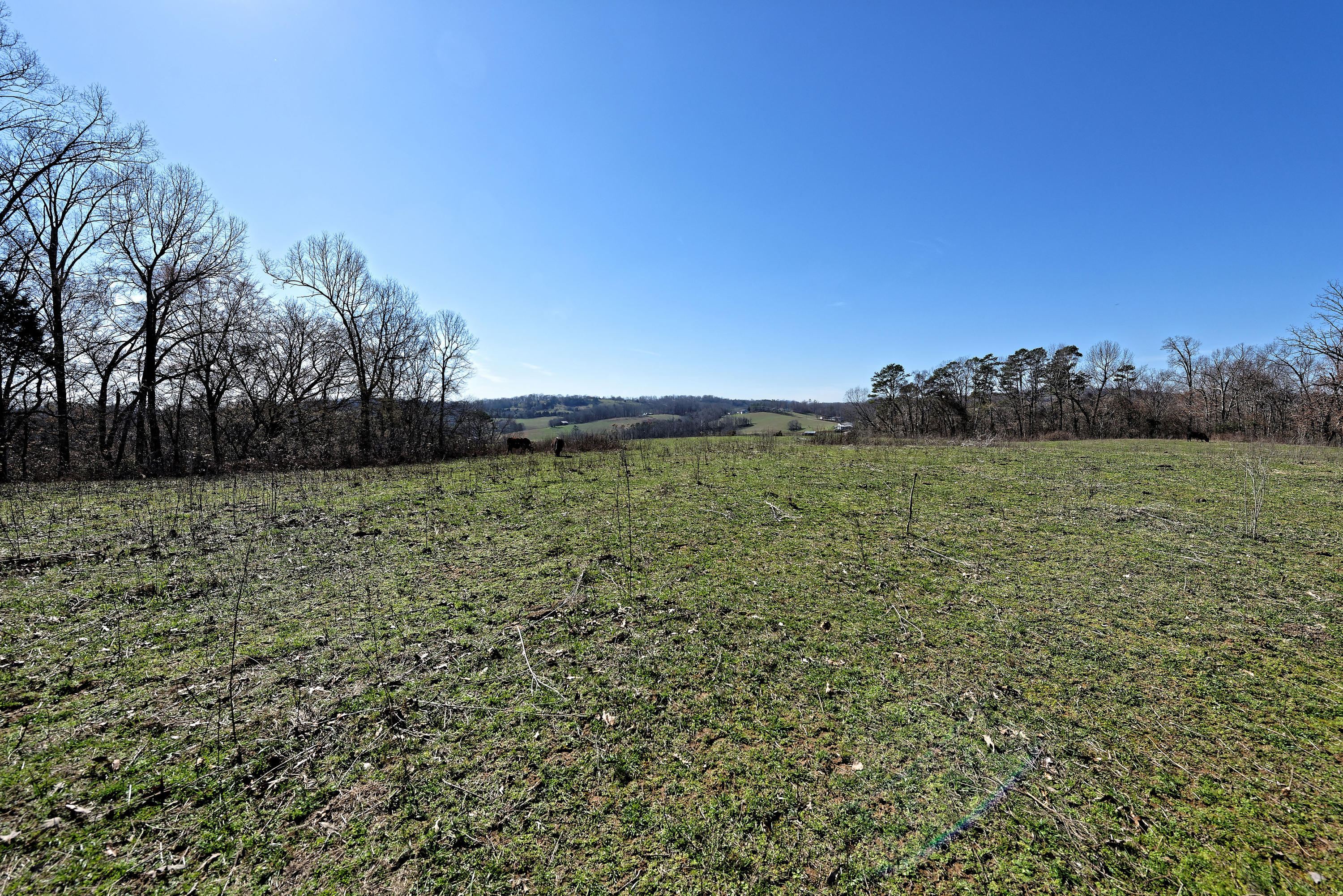 147 Frank Bend Lane Rutledge, TN 37861 - Photo 30 of 40 D810_3144_D