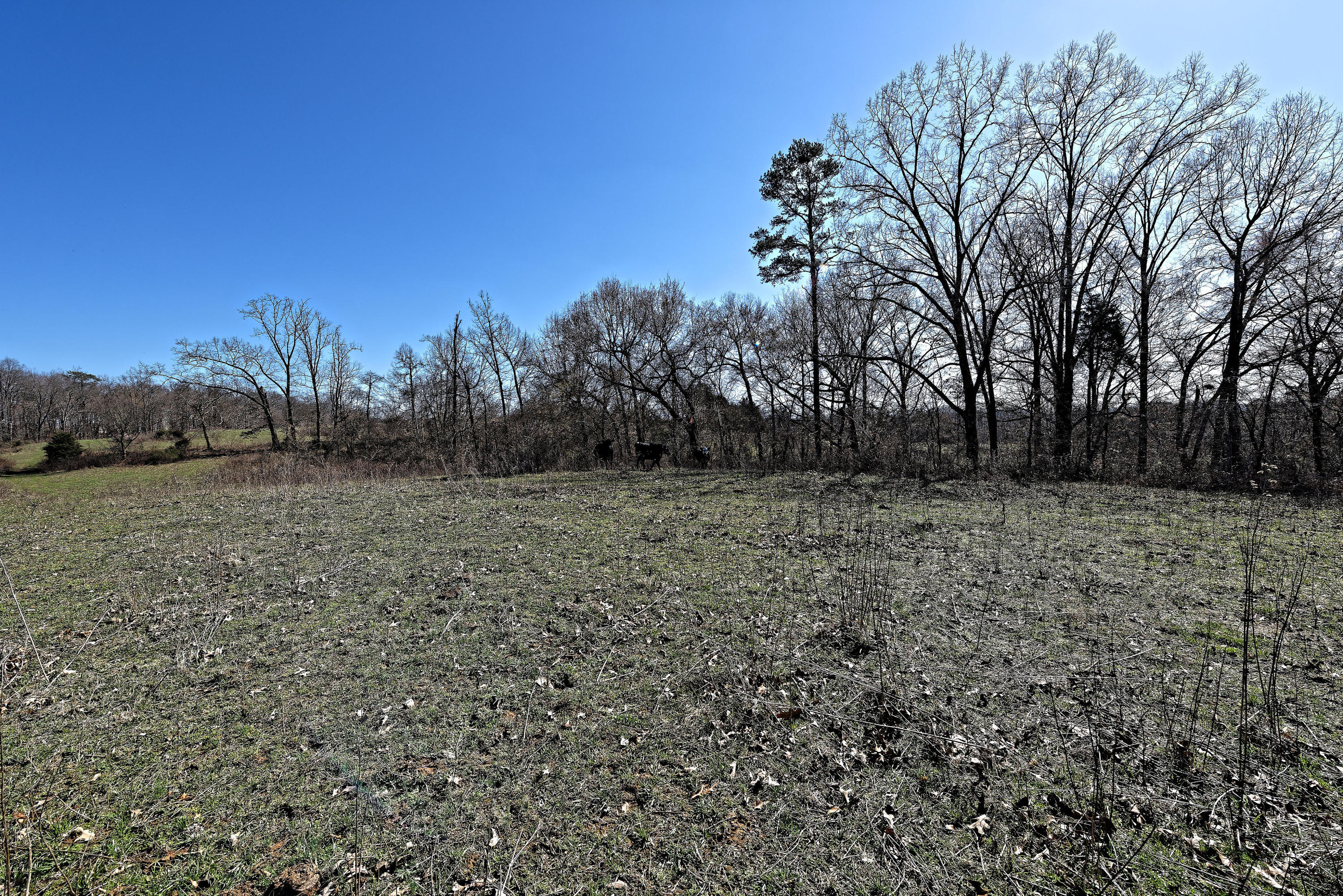 147 Frank Bend Lane Rutledge, TN 37861 - Photo 31 of 40 D810_3145_D