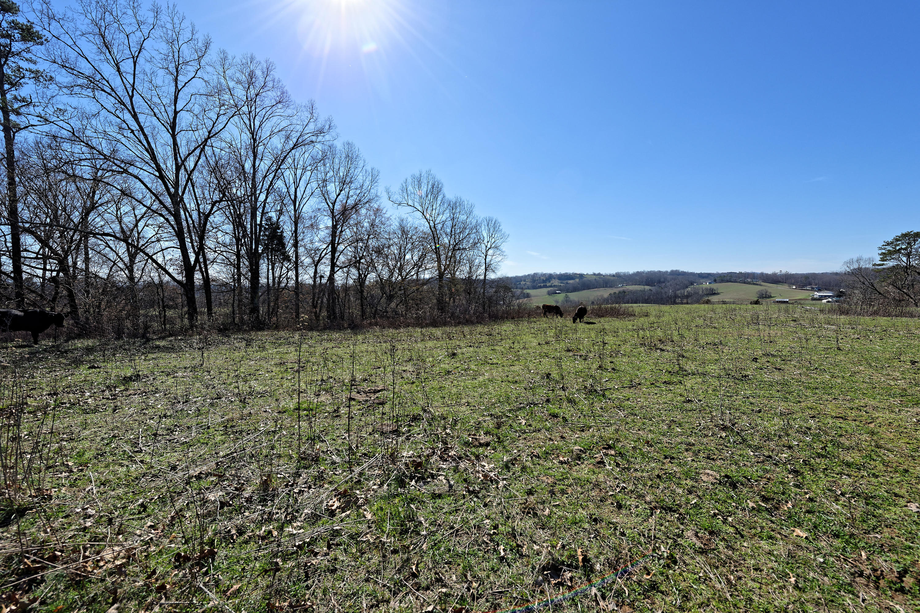 147 Frank Bend Lane Rutledge, TN 37861 - Photo 32 of 40 D810_3147_D