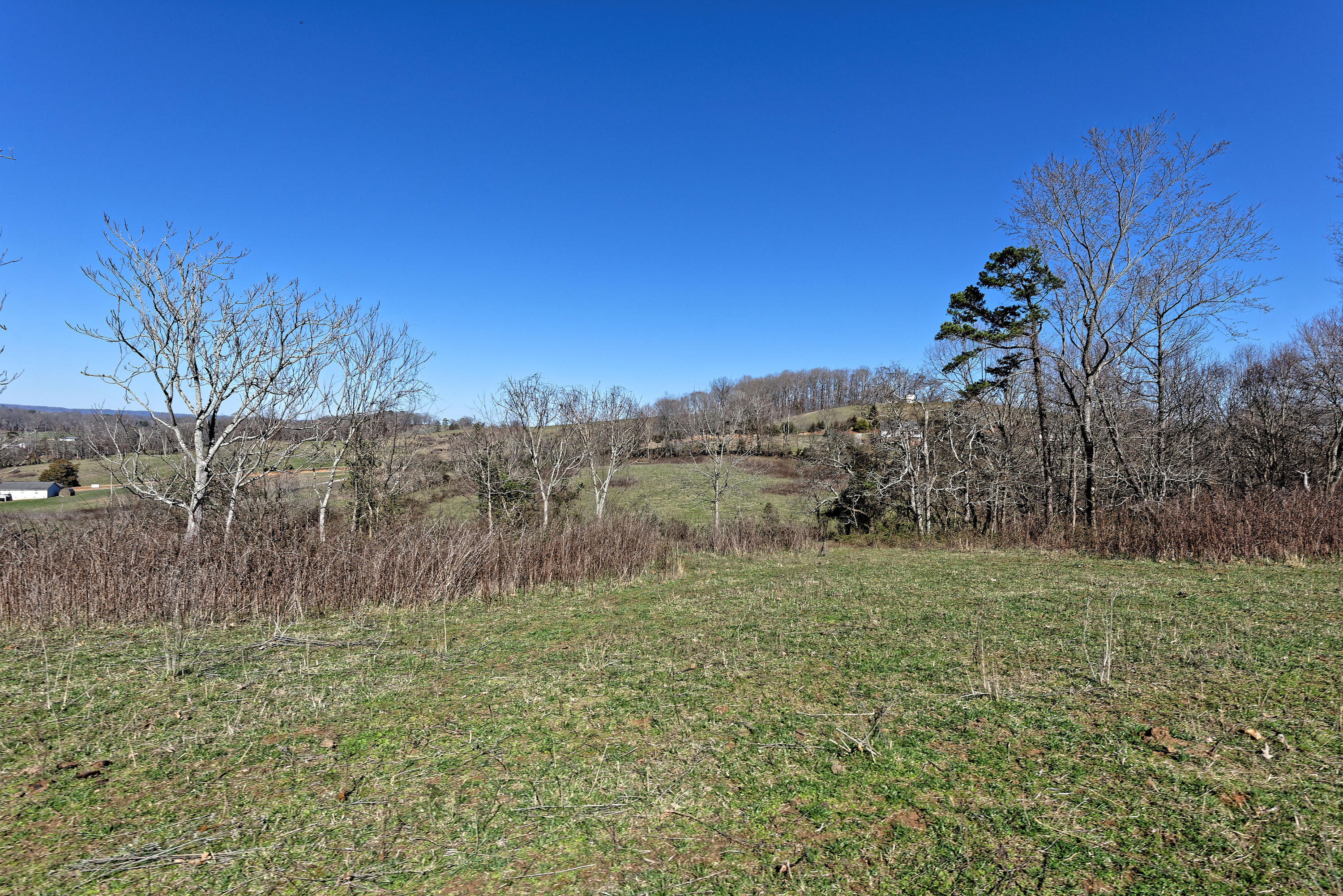 147 Frank Bend Lane Rutledge, TN 37861 - Photo 33 of 40 D810_3148_D