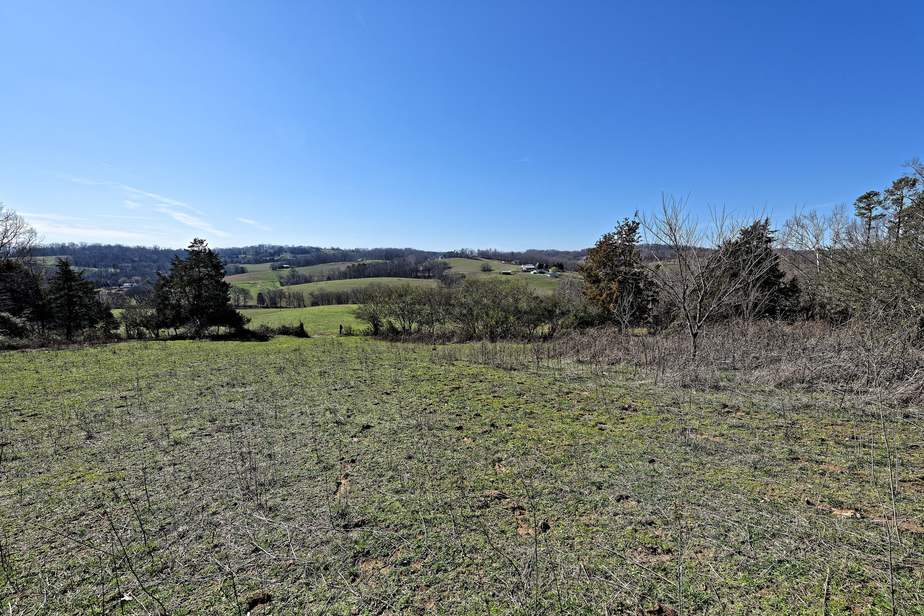 147 Frank Bend Lane Rutledge, TN 37861 - Photo 34 of 40 D810_3150_D