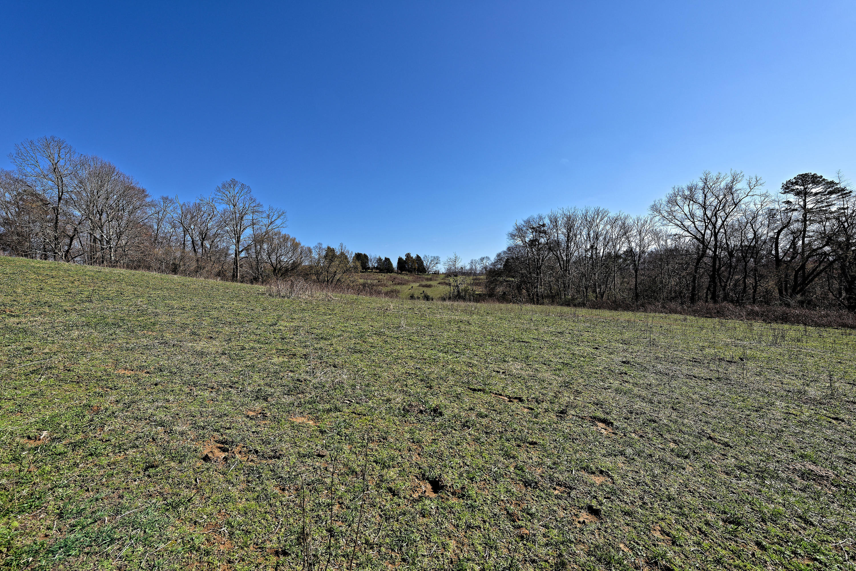 147 Frank Bend Lane Rutledge, TN 37861 - Photo 35 of 40 D810_3151_D