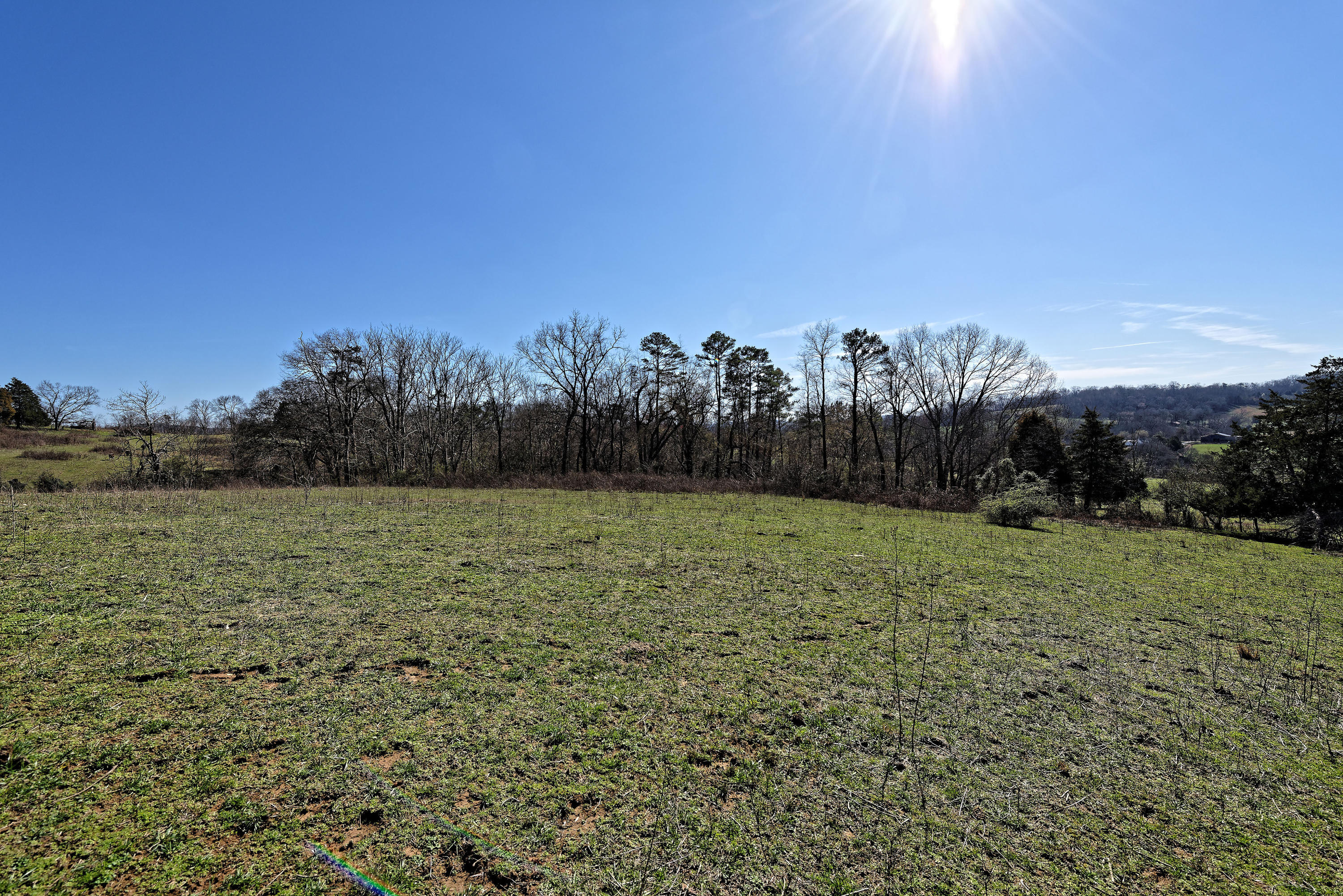 147 Frank Bend Lane Rutledge, TN 37861 - Photo 36 of 40 D810_3152_D