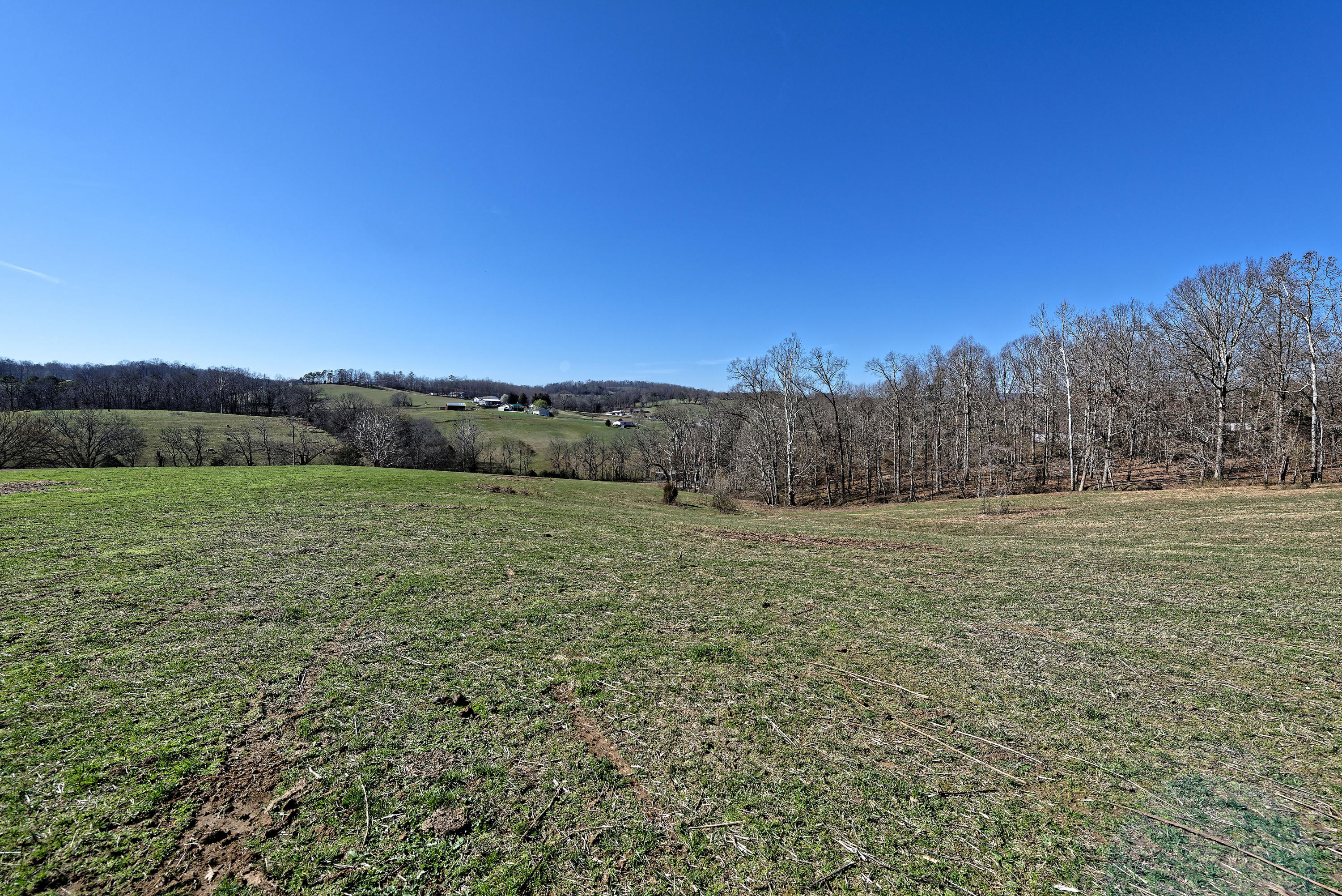 147 Frank Bend Lane Rutledge, TN 37861 - Photo 37 of 40 D810_3153_D